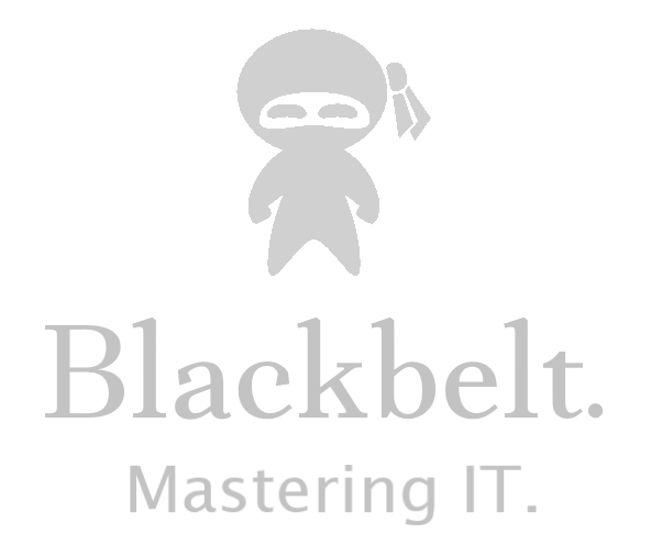 A cartoon ninja and the words Blackbelt. Mastering IT.